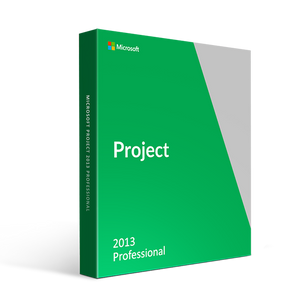 Microsoft Project 2013 Professional