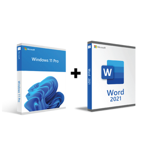 Microsoft Windows 11 Pro + Microsoft Word 2021