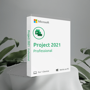 Microsoft Project 2021 Professional