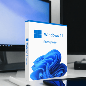 Microsoft Windows 11 Enterprise