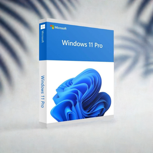 Microsoft Windows 11 Pro